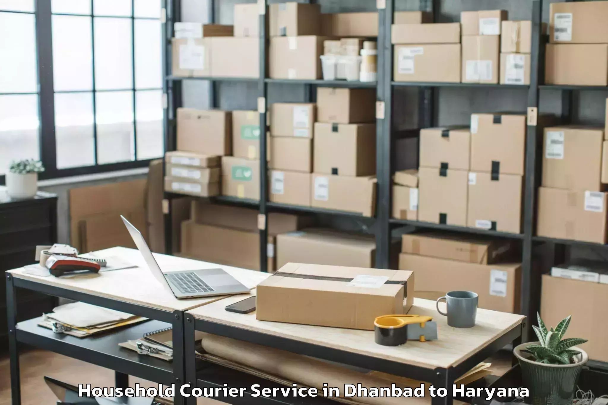 Book Dhanbad to Rewari Household Courier